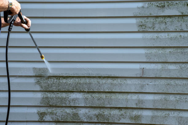 Trusted Farmer City, IL Junk Removal Experts